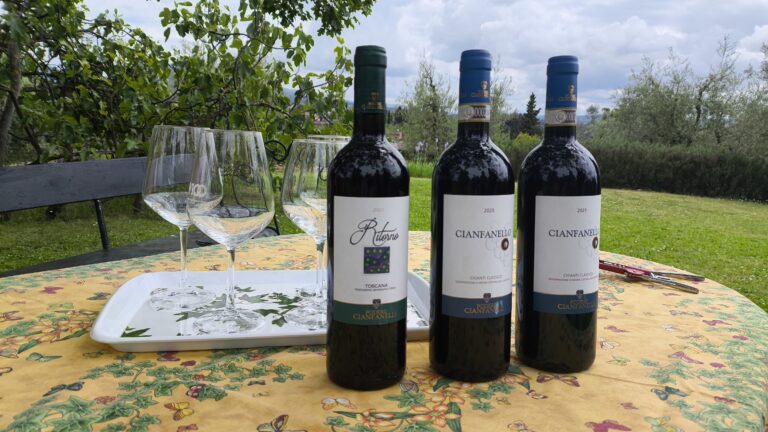 Wine tours for gourmets